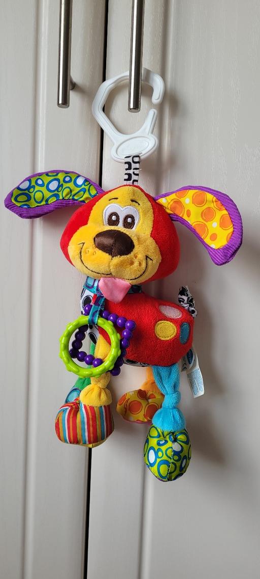 Buy & Sell Great Houghton Barnsley - Photos for Activity friend pooky puppy