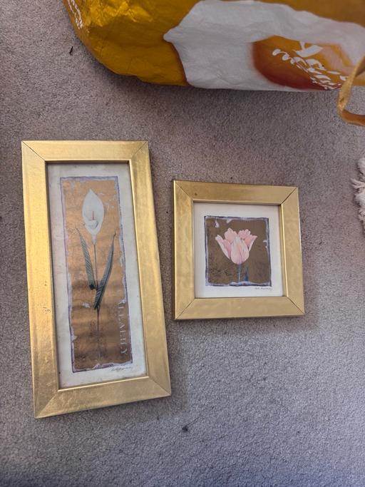 Buy & Sell Chapel Brampton West Northamptonshire - Photos for flower paintings