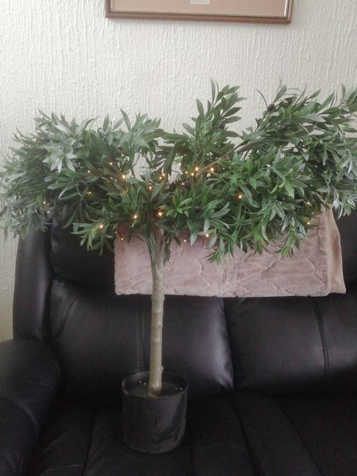 Buy & Sell Heath Town Wolverhampton - Photos for New massive artificial light up olive tree