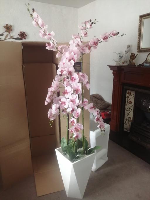 Buy & Sell Heath Town Wolverhampton - Photos for New Julian Mcdonald 4 stem orchard pot