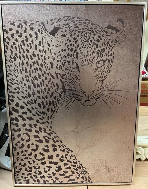 Buy & Sell Tottenham Hale North London - Photos for Leopard canvas