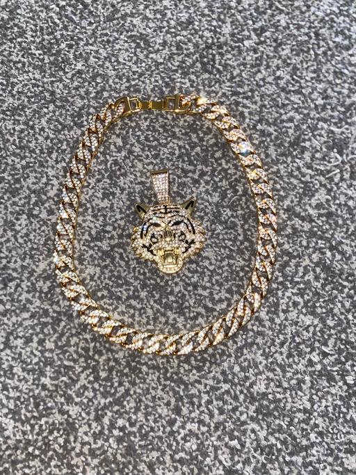 Buy & Sell Hanley Stoke-on-Trent - Photos for Pendant with chain