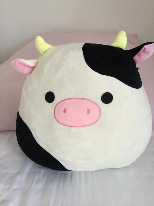 Buy & Sell Shildon County Durham - Photos for Squishmallow 18”x18”
