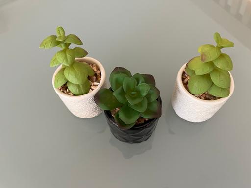 Buy & Sell Ettingshall Park Wolverhampton - Photos for THREE ARTIFICIAL PLANTS AND POTS