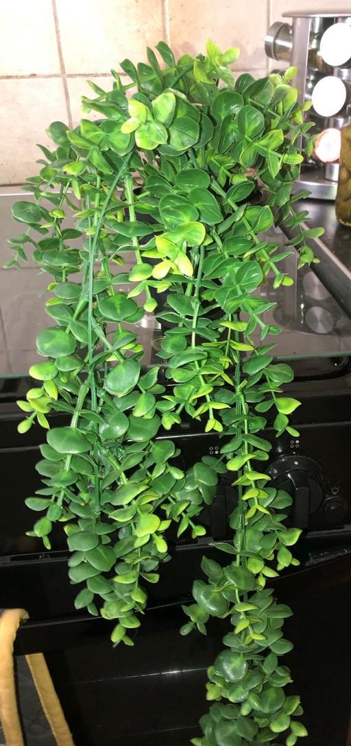 Buy & Sell Stow Heath Wolverhampton - Photos for Artificial hanging plant