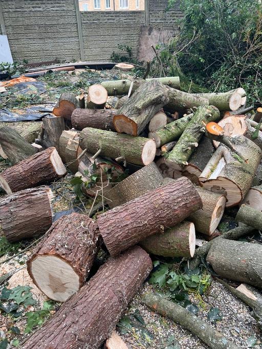 Buy & Sell Sparkhill Birmingham - Photos for Tree cutting and removal and hedges and grass