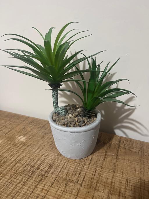 Buy & Sell Cadeby Doncaster - Photos for Artificial pot plant in ceramic pot