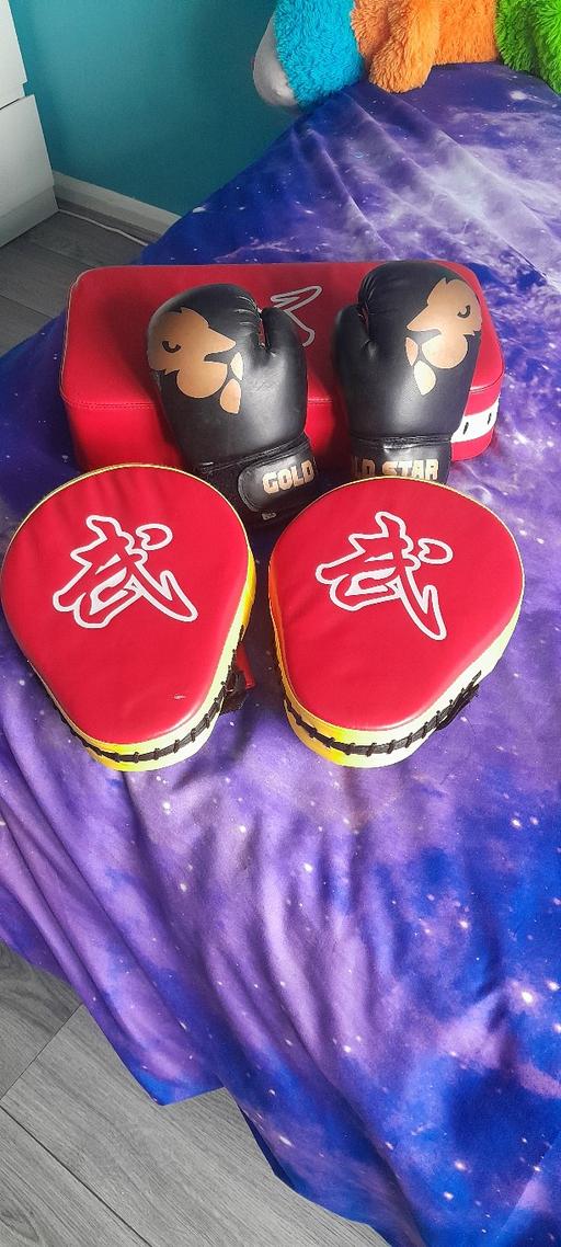 Buy & Sell Brockmoor Dudley - Photos for kids karate pads and gloves