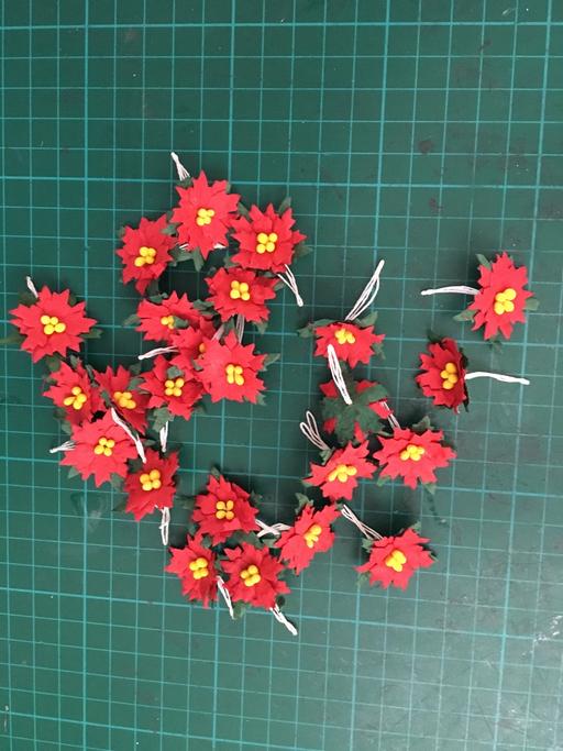 Classes Cheslyn Hay South Staffordshire - Photos for Craft Christmas flowers