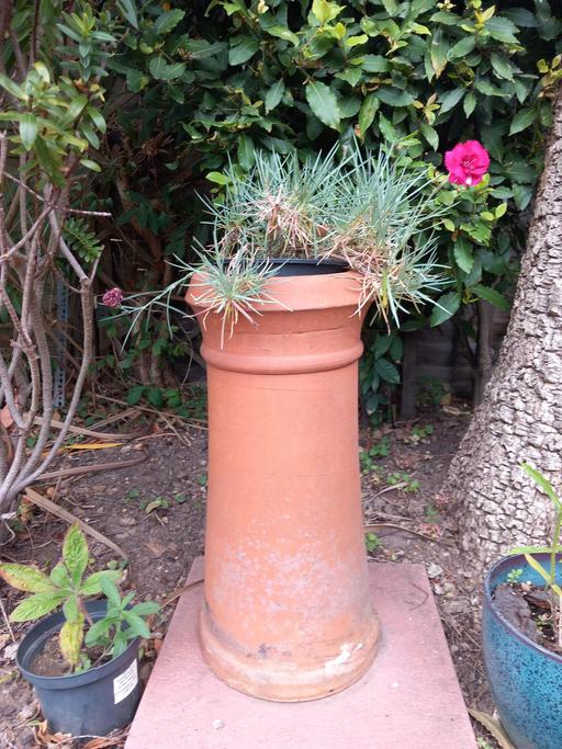 Buy & Sell Uxbridge Hillingdon - Photos for reclaimed chimney pot.