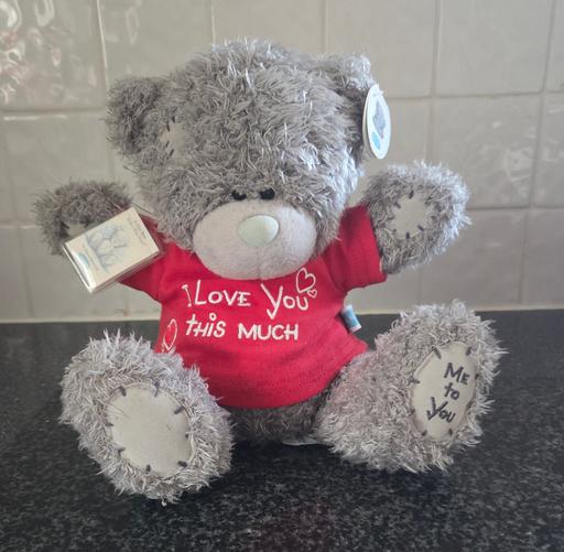Buy & Sell Westgate-on-Sea Thanet - Photos for GORGEOUS BEAR