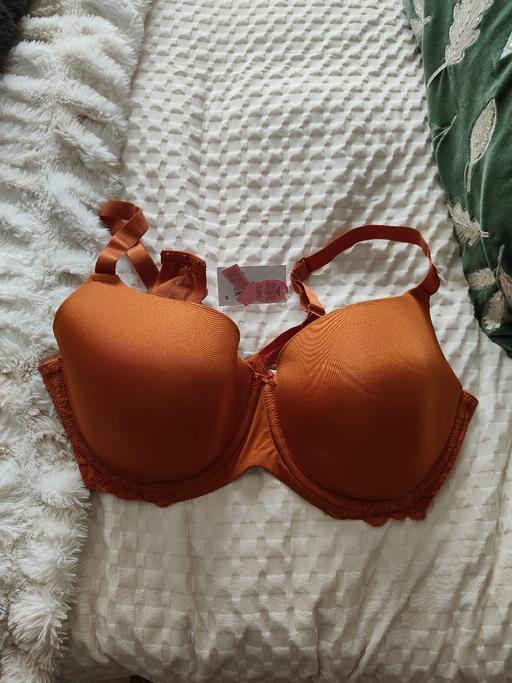 Buy & Sell Denmead Winchester - Photos for Brand New - Rust Bra - 40E