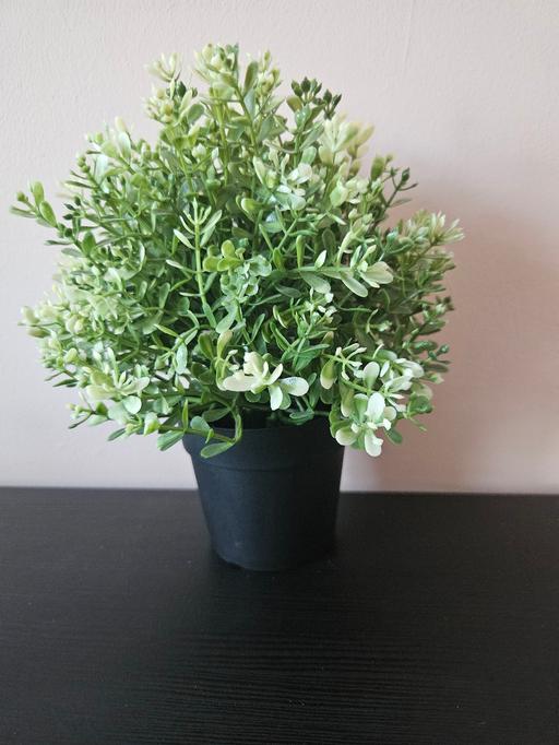 Buy & Sell Oxley Wolverhampton - Photos for Fake plant