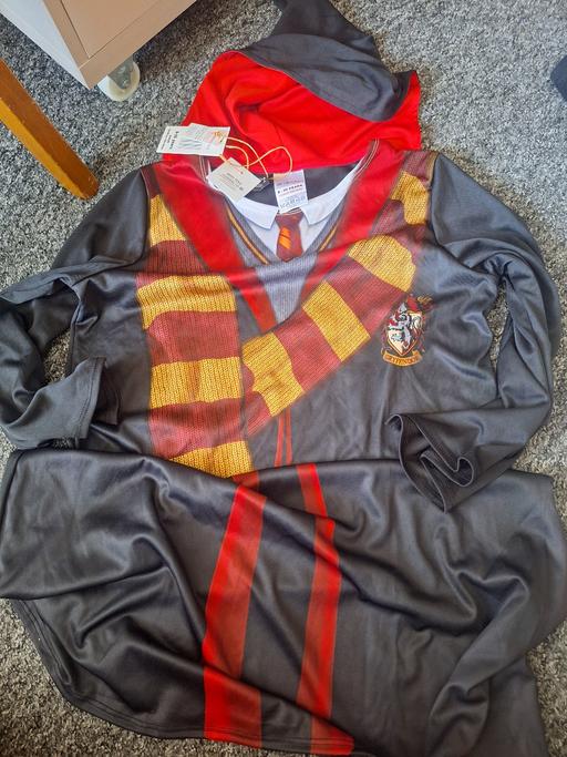 Buy & Sell Woodsetton Dudley - Photos for Harry Potter (over head all in one)
