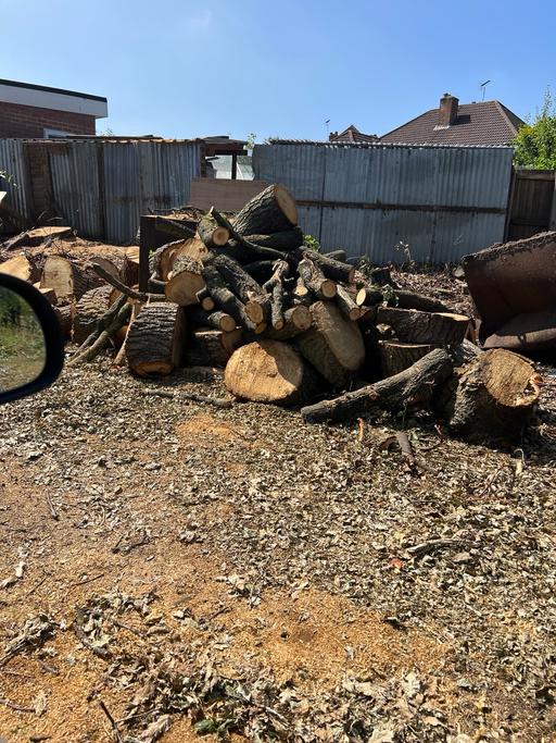 Buy & Sell Hall Green Birmingham - Photos for Tree cutting and removal and hedges cutting