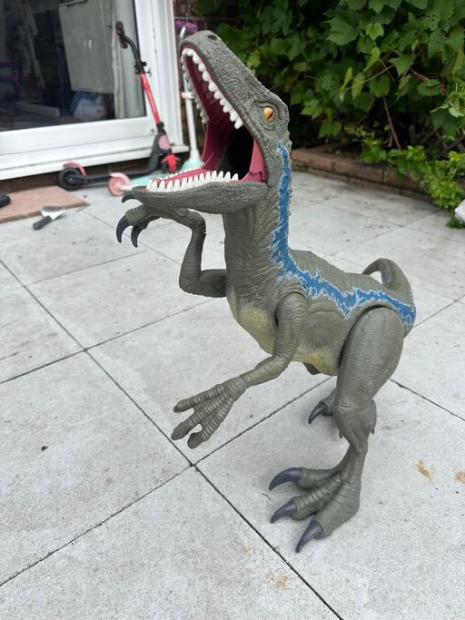 Buy & Sell Brighton-Le-Sands Sefton - Photos for Dinosaur Raptor