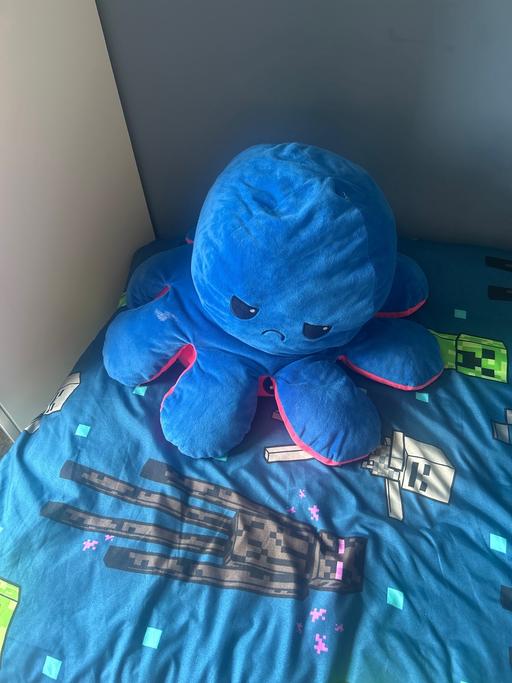 Buy & Sell Gornal Wood Dudley - Photos for Giant blue octopus