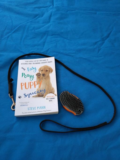 Buy & Sell Darlaston Walsall - Photos for Puppy book lead and brush