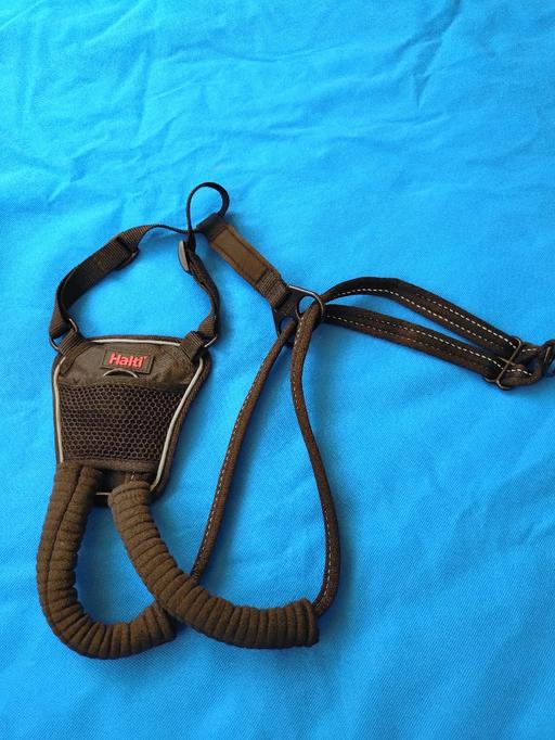 Buy & Sell Willenhall Walsall - Photos for Halti dog training harness