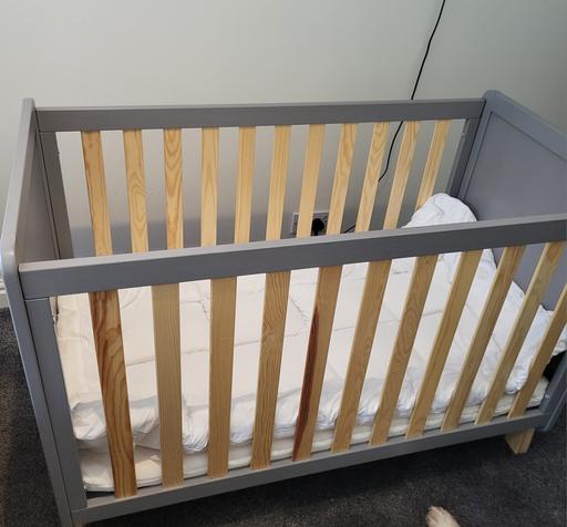 Buy & Sell Pelsall Walsall - Photos for Cot and Bedding