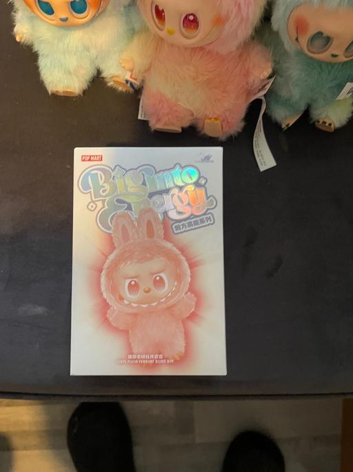 Buy & Sell Rugeley Cannock Chase - Photos for Labubu Little Monsters Plush - Mystery Boxes.