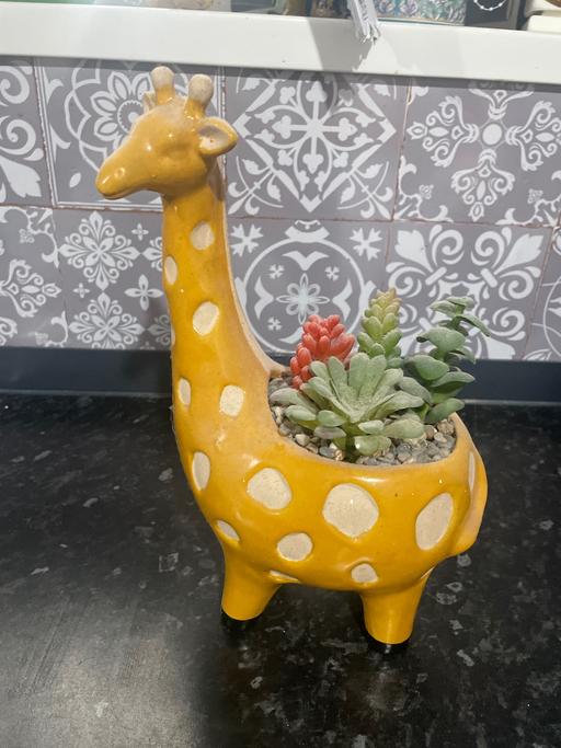 Buy & Sell Stechford Birmingham - Photos for Ornament