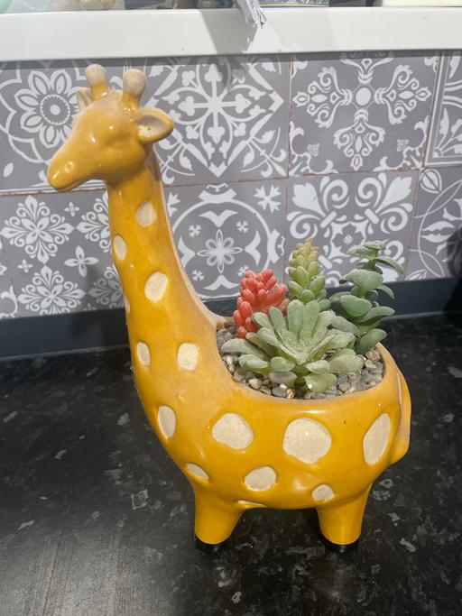 Buy & Sell Bordesley Green Birmingham - Photos for Ornament