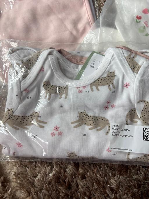 Buy & Sell Bracklesham Bay Chichester - Photos for Baby girls 6-9m bundle. Bibs and vests