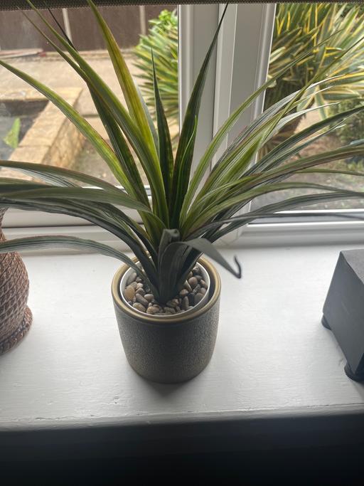 Buy & Sell Conisbrough Doncaster - Photos for Beautiful artificial palm and gold pot