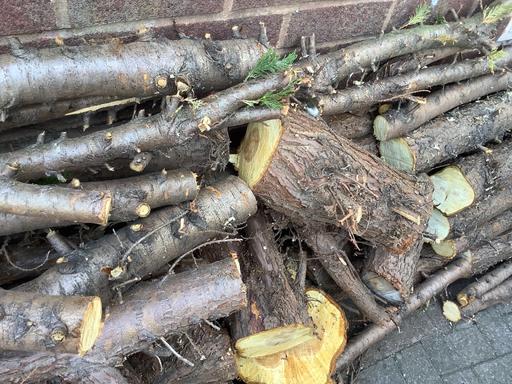 Buy & Sell Stechford Birmingham - Photos for Wood tree chopped branches pieces slices 