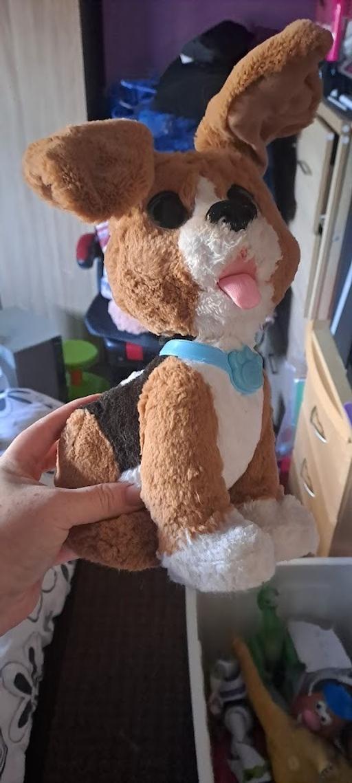 Buy & Sell Northfield Birmingham - Photos for Floppy-Eared Puppy Plush Toy 🐶