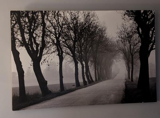Buy & Sell Horncastle East Lindsey - Photos for Large IKEA canvas