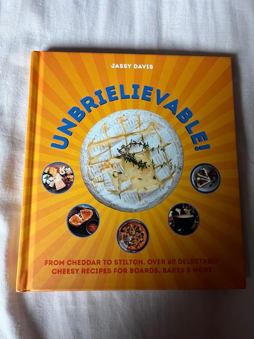 Buy & Sell Islington North London - Photos for Unbrielievable by Jassy Davis