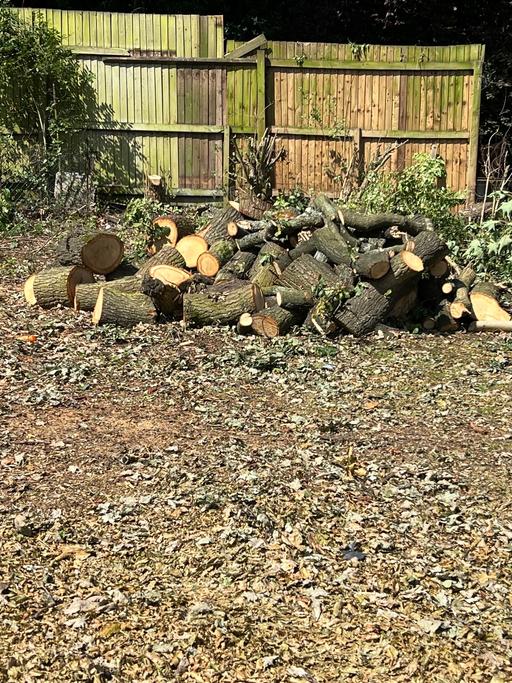 Buy & Sell Hall Green Birmingham - Photos for Tree cutting and removal,hedge,grass,fence