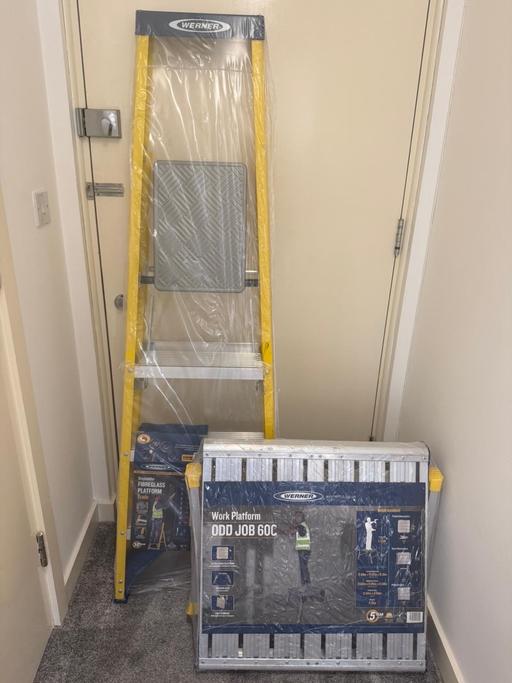 Buy & Sell Leatherhead Mole Valley - Photos for Werner Ladder + Platform Combo