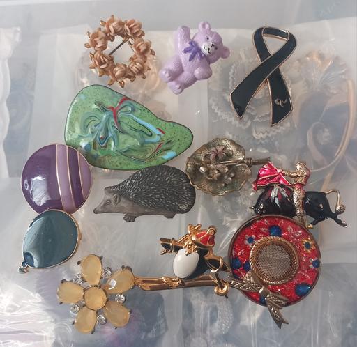 Buy & Sell Thatto Heath Saint Helens - Photos for 12 costume jewellery brooches