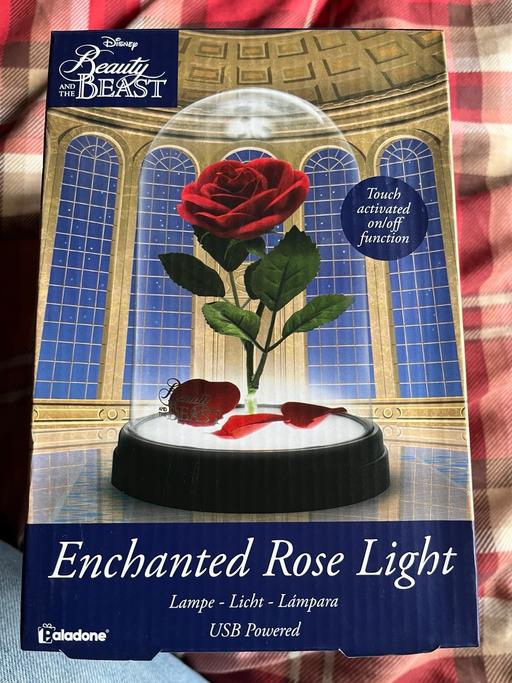 Buy & Sell Tipton Sandwell - Photos for Enchanted rose light