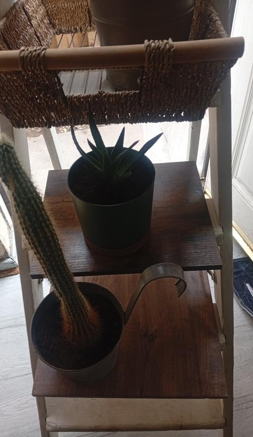 Buy & Sell Walkley Sheffield - Photos for white step ladder