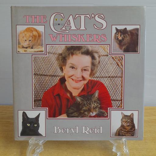 Buy & Sell Preston South Ribble - Photos for THE C🐈‍⬛️T'S WHISKERS