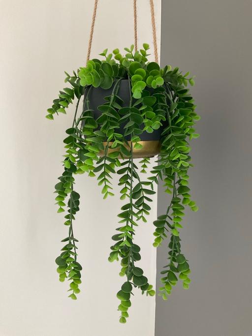 Buy & Sell Telford Way Industrial Estate North Northamptonshire - Photos for Artificial hanging plant