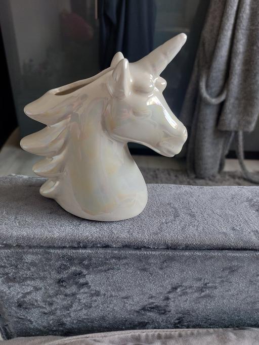 Buy & Sell Chapeltown Sheffield - Photos for unicorn arniment