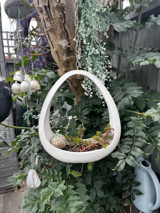 Buy & Sell Kings Heath Birmingham - Photos for Hanging ceramic planter
