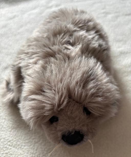 Buy & Sell Muxton Telford and Wrekin - Photos for Seal - small fluffy soft toy