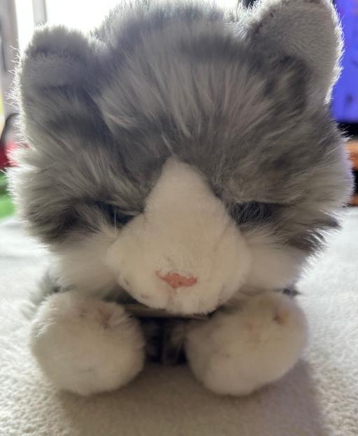 Buy & Sell Muxton Telford and Wrekin - Photos for Cat - small plush soft toy