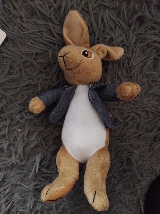 Buy & Sell Bushbury Wolverhampton - Photos for small.peter rabbit teddy