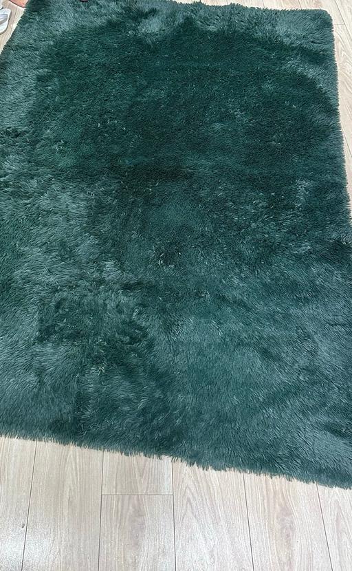 Buy & Sell Nash Shropshire - Photos for Forest green on slip sienna rug carpet as new