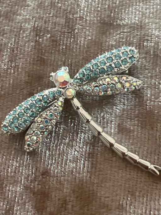 Buy & Sell Brighton Brighton - Photos for Beautiful dragonfly brooch