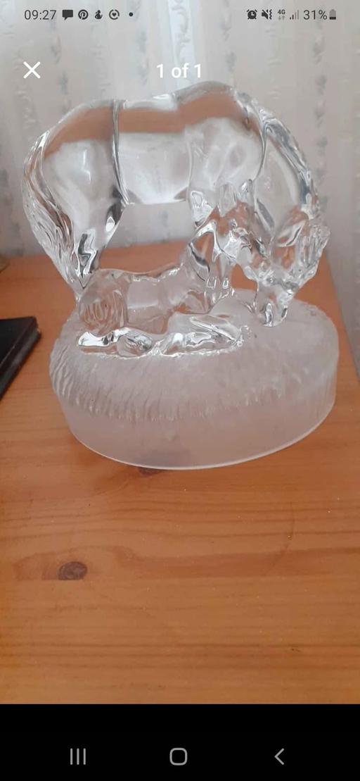 Buy & Sell Acocks Green Birmingham - Photos for crystal mare with foal x2