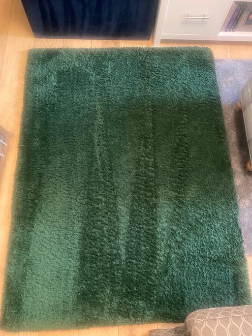 Buy & Sell Lye Dudley - Photos for Next - Green Rug