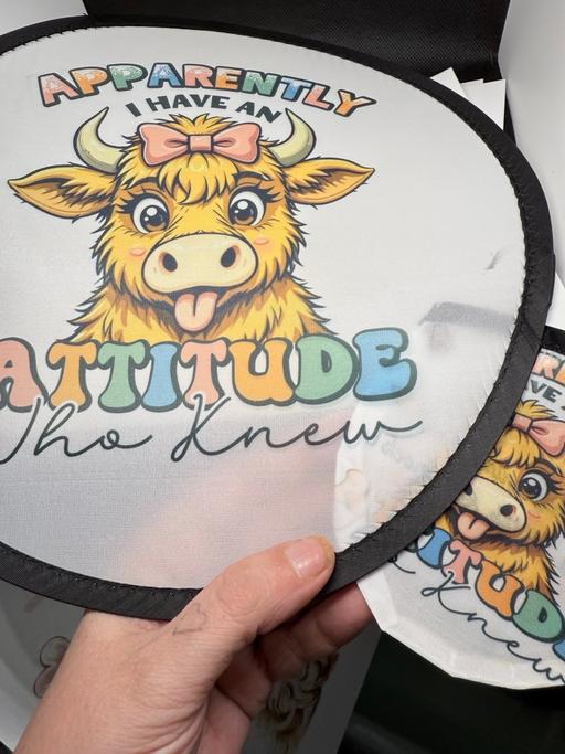 Buy & Sell Netherton Dudley - Photos for Foldable fans with pouch